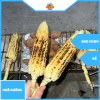 Ngô nếp nướng thơm phức